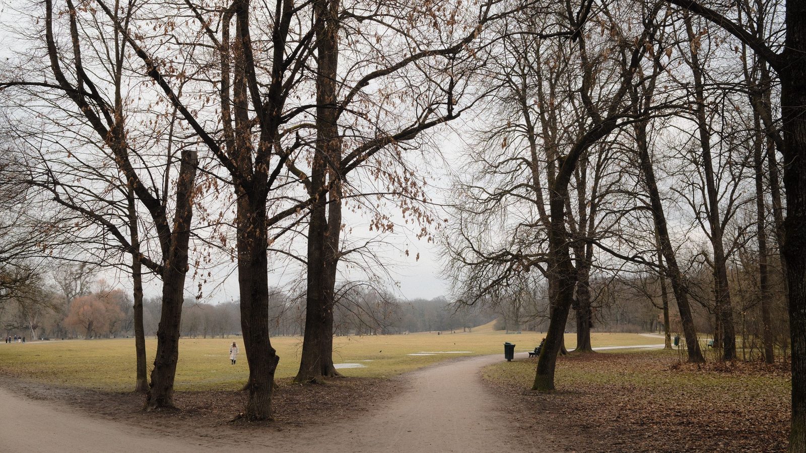 Two paths diverging from a single point, representing the choice between two search tools